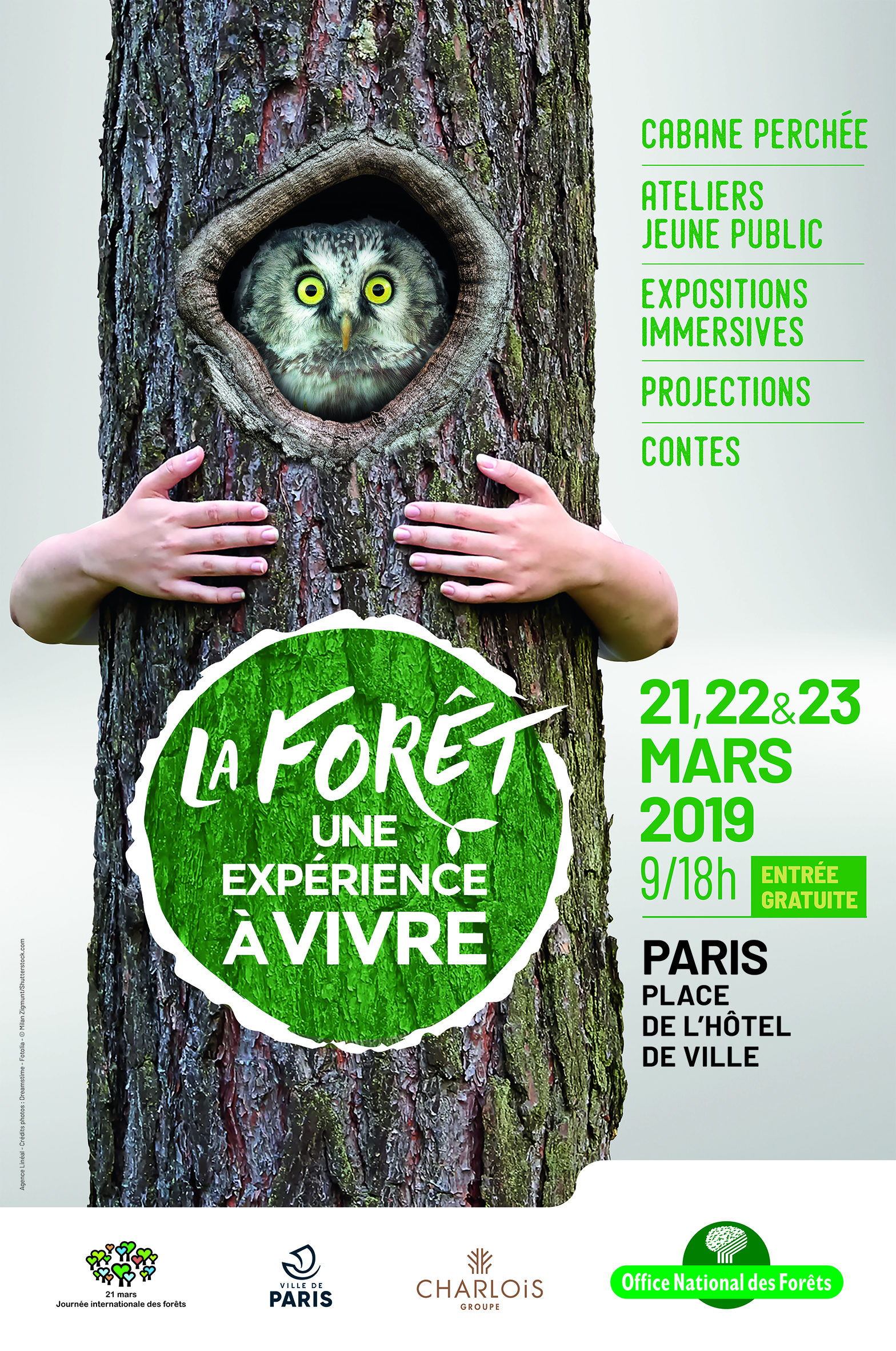 La Forêt une experience à vivre